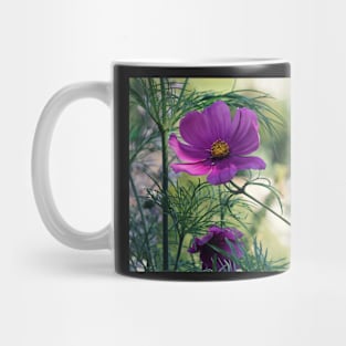 Cosmos and Bokeh Mug